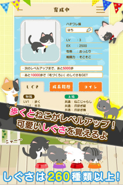画像ギャラリー No.004のサムネイル画像 / 歩いて“ねこ”を育てよう,歩数計付き育成ゲーム「にゃん歩計」が配信中