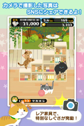 画像ギャラリー No.007のサムネイル画像 / 歩いて“ねこ”を育てよう,歩数計付き育成ゲーム「にゃん歩計」が配信中