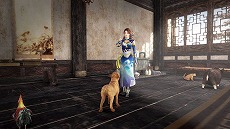 画像ギャラリー No.008のサムネイル画像 / 「真・三國無双8」ゲーム本編とDLCをセットにしたお得なスペシャルエディションが12月5日に配信決定