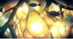 画像ギャラリー No.002のサムネイル画像 / 「ミトラスフィア -MITRASPHERE-」の世界観紹介PVが公開。事前登録50万突破につき“海晶石 25個+250個”も配布決定
