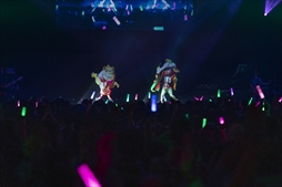 画像ギャラリー No.033のサムネイル画像 / 「Nintendo Live 2019」レポート。新作体験会や人気タイトルの全国大会，ハイカライブと見どころ満載のイベントが展開された
