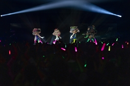 画像ギャラリー No.037のサムネイル画像 / 「Nintendo Live 2019」レポート。新作体験会や人気タイトルの全国大会，ハイカライブと見どころ満載のイベントが展開された