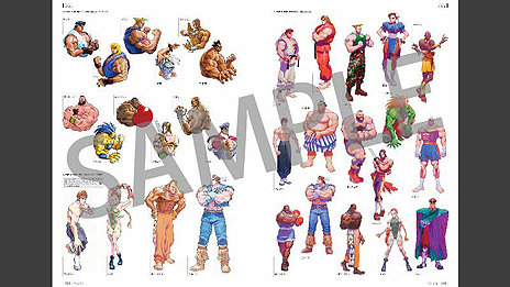 画像ギャラリー No.015のサムネイル画像 / 「ウルトラストリートファイターII」は一人称視点＆モーション操作の“リュウなりきり”モード「放て！波Do拳」を搭載。キャラの色編集機能なども