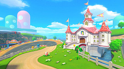 画像ギャラリー No.006のサムネイル画像 / 「マリオカート8 デラックス」,有料追加コンテンツ“コース追加パス第4弾”は3月9日10:00に配信決定。紹介映像も公開