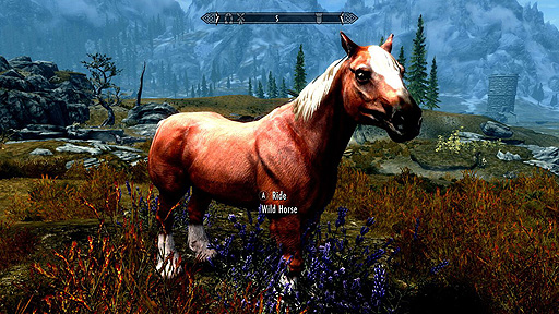 画像ギャラリー No.007のサムネイル画像 / Switch向け「The Elder Scrolls V: Skyrim Anniversary Upgrade」,突如配信開始。“Skyrim”本編とのバンドル版も