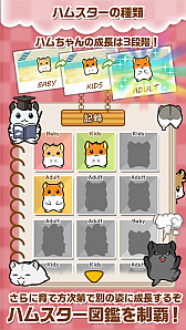 画像ギャラリー No.005のサムネイル画像 / ハムスター育成アプリ「ハムスターストーリー」のAndroid版が配信