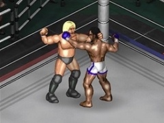 「FIRE PRO WRESTLING WORLD」12月19日にアーリーアクセスが終了し，DLC「高山善廣」を配信。DLC売り上げはリハビリ中の同選手に寄付