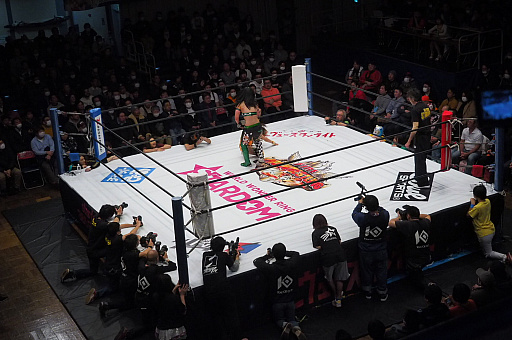 画像ギャラリー No.013のサムネイル画像 / 「ファイヤープロレスリング ワールド」と女子プロレス団体「スターダム」コラボ第2弾の収録選手が公開。フリー選手を含む11名が新たに参戦