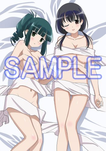 画像ギャラリー No.001のサムネイル画像 / 「咲-Saki-全国編Plus」 ,ビジュアルファンブック中巻の情報が公開