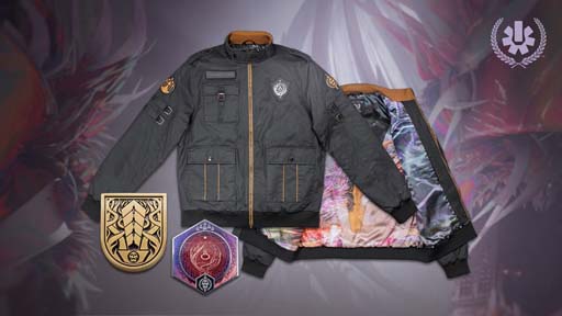 画像ギャラリー No.003のサムネイル画像 / 「Destiny 2」,最新レイド“ナイトメアの根源”の優勝チームは「Hard in the Paint」