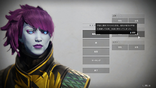 画像ギャラリー No.008のサムネイル画像 / PC版「Destiny 2」のプレイレポート。太陽系を股にかける不死身のガーディアンとなって,人類を救え