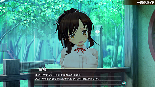 画像ギャラリー No.004のサムネイル画像 / 「シノビリフレ -SENRAN KAGURA-」，本日より本編「飛鳥」の価格が810円に