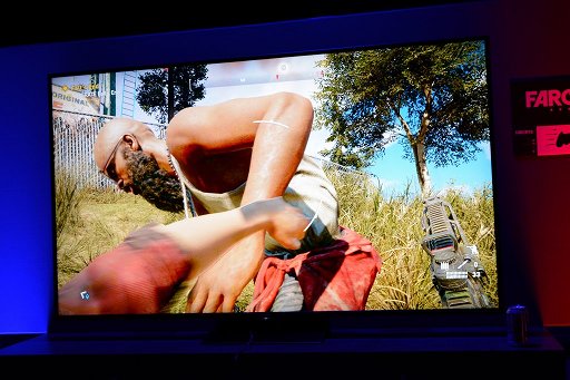 画像ギャラリー No.004のサムネイル画像 / ［E3 2017］好きなパートナーとミッションに挑める「ファークライ5」の新要素を体験してきた
