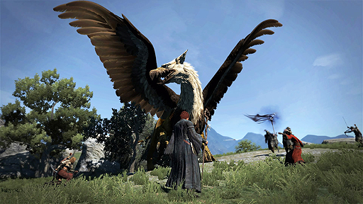 画像ギャラリー No.024のサムネイル画像 / 「ドラゴンズドグマ：ダークアリズン」（PC/PS4/Xbox One）が本日発売。オープンワールドでの冒険を高解像度で楽しめる