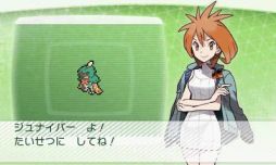 画像ギャラリー No.005のサムネイル画像 / 「ポケモンバンク」で隠れ特性を持った「ジュナイパー」「ガオガエン」「アシレーヌ」がもらえる