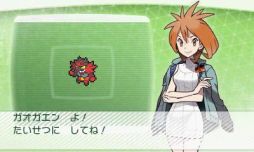 画像ギャラリー No.006のサムネイル画像 / 「ポケモンバンク」で隠れ特性を持った「ジュナイパー」「ガオガエン」「アシレーヌ」がもらえる
