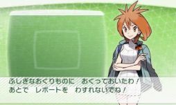 画像ギャラリー No.008のサムネイル画像 / 「ポケモンバンク」で隠れ特性を持った「ジュナイパー」「ガオガエン」「アシレーヌ」がもらえる