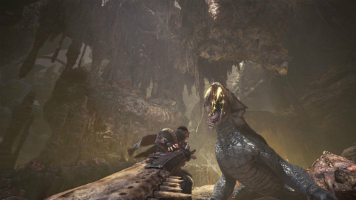 画像ギャラリー No.081のサムネイル画像 / 「MONSTER HUNTER: WORLD」発売直前。狩りの新要素をはじめ，新大陸のモンスター＆フィールド，古龍渡りの謎に迫る物語を予習しよう