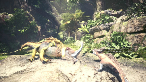 画像ギャラリー No.034のサムネイル画像 / 「MONSTER HUNTER: WORLD」狩猟生活ノススメ 第1回:見た目は凄腕,中身はド素人! 新米ハンター,新大陸に立つ