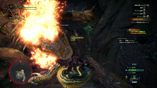 画像ギャラリー No.011のサムネイル画像 / 「MONSTER HUNTER: WORLD」狩猟生活ノススメ 第2回：いよいよ狩りが本格化！ アンジャナフ，おそろしい子……編