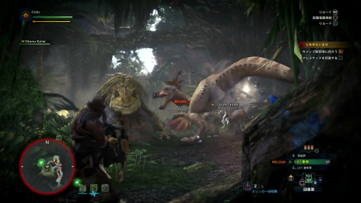 画像ギャラリー No.026のサムネイル画像 / 「MONSTER HUNTER: WORLD」狩猟生活ノススメ 第2回：いよいよ狩りが本格化！ アンジャナフ，おそろしい子……編