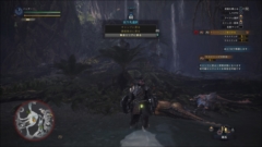 画像ギャラリー No.022のサムネイル画像 / 「MONSTER HUNTER：WORLD」，イビルジョーが追加される無料大型アップデートを本日配信。ロード処理の最適化や装飾品不具合の修正も実施
