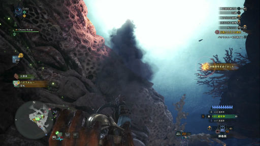 画像ギャラリー No.005のサムネイル画像 / 「MONSTER HUNTER: WORLD」狩猟生活ノススメ 第4回:ド素人ハンター,ついにマルチプレイの味を知る