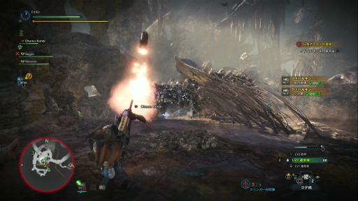 画像ギャラリー No.020のサムネイル画像 / 「MONSTER HUNTER: WORLD」狩猟生活ノススメ 第4回:ド素人ハンター,ついにマルチプレイの味を知る