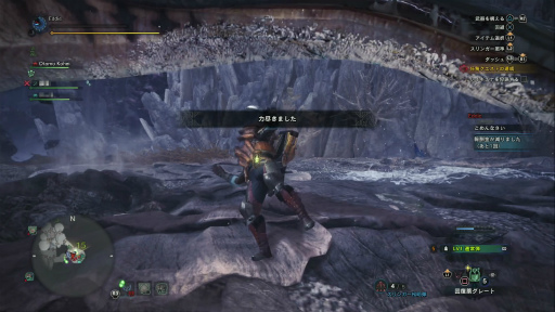 画像ギャラリー No.030のサムネイル画像 / 「MONSTER HUNTER: WORLD」狩猟生活ノススメ 第4回:ド素人ハンター,ついにマルチプレイの味を知る