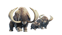 画像ギャラリー No.050のサムネイル画像 / 「MONSTER HUNTER WORLD: ICEBORNE」はPS4で9月6日,PCで今冬発売へ。新たなフィールドやモンスター,アクションの情報が一挙公開
