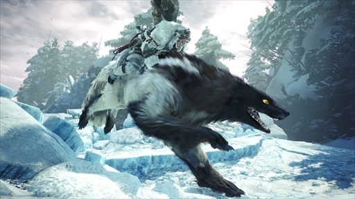 画像ギャラリー No.012のサムネイル画像 / 「MONSTER HUNTER WORLD: ICEBORNE」の序盤インプレッションを動画付きでお届け。新アクションやマスターランク狩猟のポイントを紹介
