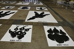 画像ギャラリー No.061のサムネイル画像 / 「モンスターハンターフェスタ'19-'20」東京会場をレポート。ステージイベントでは「MHW:I」の新規登場モンスター，ジンオウガ亜種の告知も