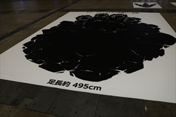 画像ギャラリー No.064のサムネイル画像 / 「モンスターハンターフェスタ'19-'20」東京会場をレポート。ステージイベントでは「MHW:I」の新規登場モンスター，ジンオウガ亜種の告知も