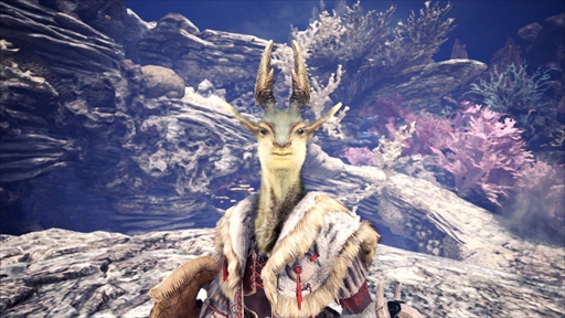 画像ギャラリー No.036のサムネイル画像 / 「MHW: ICEBORNE」の最新情報をまとめた「デベロッパーズダイアリー」の第6弾が公開に。7月9日に配信されるアップデート情報を紹介