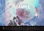 画像ギャラリー No.010のサムネイル画像 / カプコン作品のブロマイドやカレンダーがローソンプリントに登場