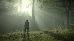 画像ギャラリー No.002のサムネイル画像 / PS4「ワンダと巨像」に実装される“フォトモード”が公開。PS4 Proでは4K解像度または60fpsでのプレイに対応とスペシャルサイトに掲載