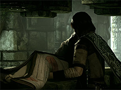 いよいよ2月8日に登場するPS4版「ワンダと巨像」，切ない物語が垣間見えるストーリートレイラーが公開