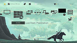 画像ギャラリー No.003のサムネイル画像 / PS4「ワンダと巨像」，メディアやプレイヤーの声，PS4版ならではの要素の情報が公開。RT企画は目標達成でプレミアムテーマのプレゼントが決定