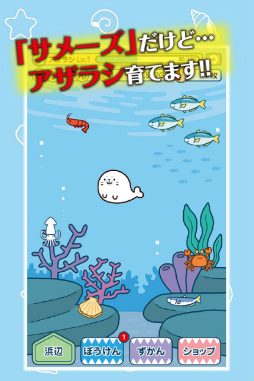 サメーズ