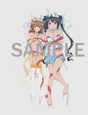 画像ギャラリー No.021のサムネイル画像 / 「そうだ アニメ,見よう」第84回は4年ぶりのアニメ第2シーズン「ダンジョンに出会いを求めるのは間違っているだろうかII」