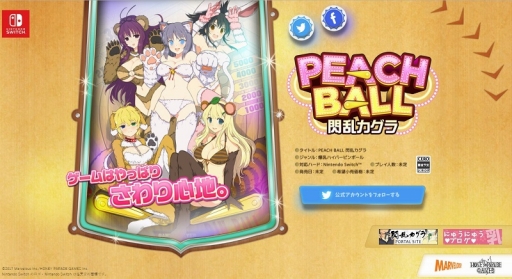 画像ギャラリー No.019のサムネイル画像 / 「閃乱カグラ」プロデューサー 高木謙一郎氏インタビュー。自宅である“ゲーム御殿”で,シリーズの“これまで”や“これから”,ルーツについて聞いた