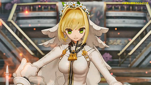 画像ギャラリー No.009のサムネイル画像 / 「Fate/Grand Order Arcade」，オリジナル概念礼装「英霊華像」の一部などを先行公開