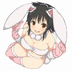画像ギャラリー No.013のサムネイル画像 / 「PEACH BALL 閃乱カグラ」ゲーム概要や店舗別購入特典などの情報が公開。限定版はパッケージ版「シノビリフレ」同梱の豪華仕様