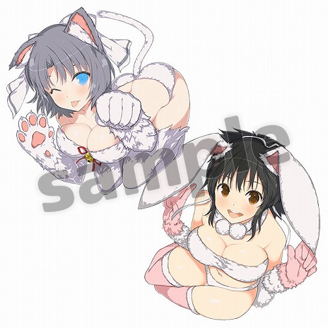 画像ギャラリー No.040のサムネイル画像 / 「PEACH BALL 閃乱カグラ」ゲーム概要や店舗別購入特典などの情報が公開。限定版はパッケージ版「シノビリフレ」同梱の豪華仕様