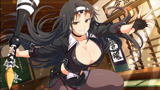 画像ギャラリー No.010のサムネイル画像 / 「シノビマスター 閃乱カグラ NEW LINK」,「ハイスクールD×D HERO」のコラボイベント第3弾後半戦を開始
