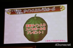 画像ギャラリー No.022のサムネイル画像 / 「ドラゴンクエストX」の「DQXTV 夏祭り 2017出張版SP」が開催。バージョン4の発売日や「大魔王ゾーマ」イベントなど最新情報が明らかに
