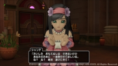 画像ギャラリー No.009のサムネイル画像 / 「ドラゴンクエストX　5000年の旅路　遥かなる故郷へ　オンライン」，エテーネ王国の王都キィンベルと新キャラ「リンカ」「シャンテ」を公開