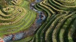 画像ギャラリー No.005のサムネイル画像 / 「Age of Empires IV」,最新DLC「岳飛の遺産」を5月7日にリリース。火薬を操る固有ユニットを持つ新文明「金王朝」が登場