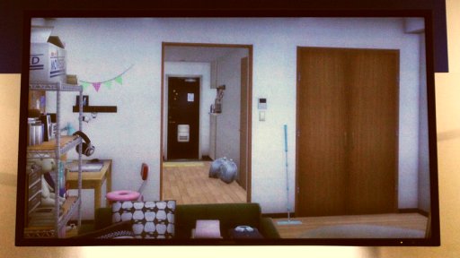 画像ギャラリー No.005のサムネイル画像 / ［TGS 2017］あの「ルーマニア＃203」がPS4で復活？ フリューの新作「project one-room（仮）」がセガゲームスブースにて発表に