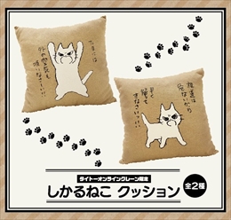 画像ギャラリー No.008のサムネイル画像 / 「タイトーオンラインクレーン」,限定オリジナルグッズが6月30日から毎週登場